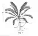Fig. 05 - Debris chute