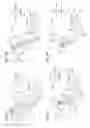Fig. 09 - Image forming apparatus