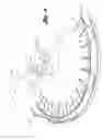 Fig. 04 - PLASTIC BEER KEG