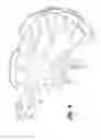 Fig. 07 - PLASTIC BEER KEG