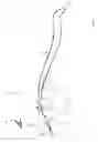 Fig. 02 - Ultimate Equine Training Lines