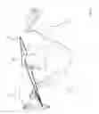 Fig. 06 - Ultimate Equine Training Lines