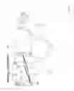 Fig. 07 - Ultimate Equine Training Lines