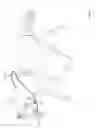 Fig. 08 - Ultimate Equine Training Lines