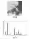Fig. 15 - Catalysts for producing hydrogen and synthesis gas