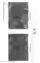 Fig. 19 - Catalysts for producing hydrogen and synthesis gas