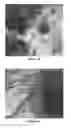 Fig. 04 - Methods for synthesizing graphene from a lignin source