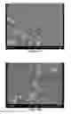 Fig. 09 - Methods for synthesizing graphene from a lignin source