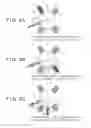 Fig. 03 - Fluidized calciner