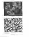 Fig. 08 - METHODS AND COMPOSITIONS USING CALCIUM CARBONATE