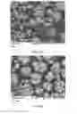 Fig. 33 - METHODS AND COMPOSITIONS USING CALCIUM CARBONATE