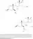 Fig. 35 - INDENE DERIVATIVES AS PHARMACEUTICAL AGENTS