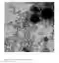 Fig. 04 - Process for the production of ethylenically unsaturated carboxylic acids or esters and a catalyst therefor