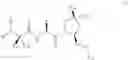 Fig. 06 - IAP binding compounds