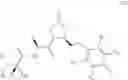 Fig. 36 - IAP binding compounds