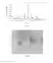Fig. 02 - Crystal form of Dabrafenib and preparation method of use thereof