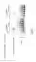 Fig. 12 - Small molecules targeting repeat r(CGG) sequences