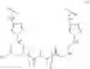 Fig. 41 - Small molecules targeting repeat r(CGG) sequences