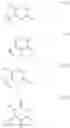 Fig. 22 - Substituted 1,7-naphthyridines as dopamine D1 ligands