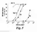 Fig. 06 - NOVEL MUCOLYTIC AGENTS