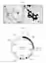 Fig. 02 - NTS-POLYPLEX NANOPARTICLES SYSTEM FOR GENE THERAPY OF CANCER