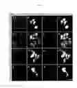 Fig. 07 - NTS-POLYPLEX NANOPARTICLES SYSTEM FOR GENE THERAPY OF CANCER