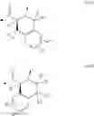 Fig. 09 - Template-fixed peptidomimetics with CXCR7 modulating activity