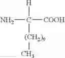 Fig. 02 - Peptides