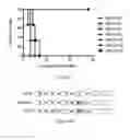 Fig. 02 - COMPOSITIONS AND METHODS FOR THE TREATMENT OF BRAIN CANCERS