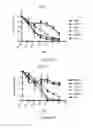 Fig. 05 - COMPOSITIONS AND METHODS FOR THE TREATMENT OF BRAIN CANCERS