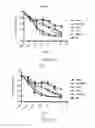 Fig. 06 - COMPOSITIONS AND METHODS FOR THE TREATMENT OF BRAIN CANCERS