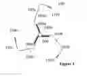Fig. 02 - BIOLOGICALLY FORMED NANOSCALE DEVICES
