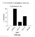 Fig. 09 - Oxyntomodulin analogs