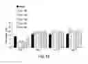 Fig. 28 - Oxyntomodulin analogs