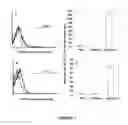 Fig. 02 - Monoclonal antibody STRO-4