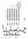 Fig. 06 - OPTIMIZATION OF ANTIBODIES THAT BIND LYMPHOCYTE ACTIVATION GENE-3 (LAG-3), AND USES THEREOF