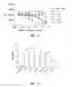 Fig. 04 - Methods of inhibiting proliferation of CD40-expressing cancer cells with anti-CD40 antibodies