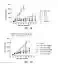 Fig. 05 - Methods of inhibiting proliferation of CD40-expressing cancer cells with anti-CD40 antibodies
