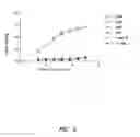 Fig. 06 - Methods of inhibiting proliferation of CD40-expressing cancer cells with anti-CD40 antibodies