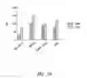 Fig. 10 - Methods of inhibiting proliferation of CD40-expressing cancer cells with anti-CD40 antibodies