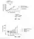 Fig. 13 - Methods of inhibiting proliferation of CD40-expressing cancer cells with anti-CD40 antibodies