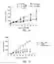 Fig. 14 - Methods of inhibiting proliferation of CD40-expressing cancer cells with anti-CD40 antibodies