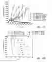 Fig. 27 - Methods of inhibiting proliferation of CD40-expressing cancer cells with anti-CD40 antibodies