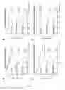Fig. 02 - METHODS AND PHARMACEUTICAL COMPOSITIONS FOR THE TREATMENT OF BONE METASTASES