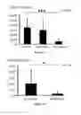 Fig. 07 - METHODS AND PHARMACEUTICAL COMPOSITIONS FOR THE TREATMENT OF BONE METASTASES