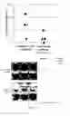 Fig. 10 - METHODS AND PHARMACEUTICAL COMPOSITIONS FOR THE TREATMENT OF BONE METASTASES