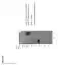 Fig. 43 - Methods of inhibiting complement C4 activation with anti-complement C1S antibodies