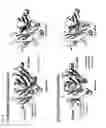 Fig. 04 - CH3 domain variant pair inducing formation of heterodimer of heavy chain constant region of antibody at high efficiency, method for preparing same, and use thereof