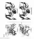 Fig. 07 - CH3 domain variant pair inducing formation of heterodimer of heavy chain constant region of antibody at high efficiency, method for preparing same, and use thereof