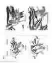 Fig. 08 - CH3 domain variant pair inducing formation of heterodimer of heavy chain constant region of antibody at high efficiency, method for preparing same, and use thereof